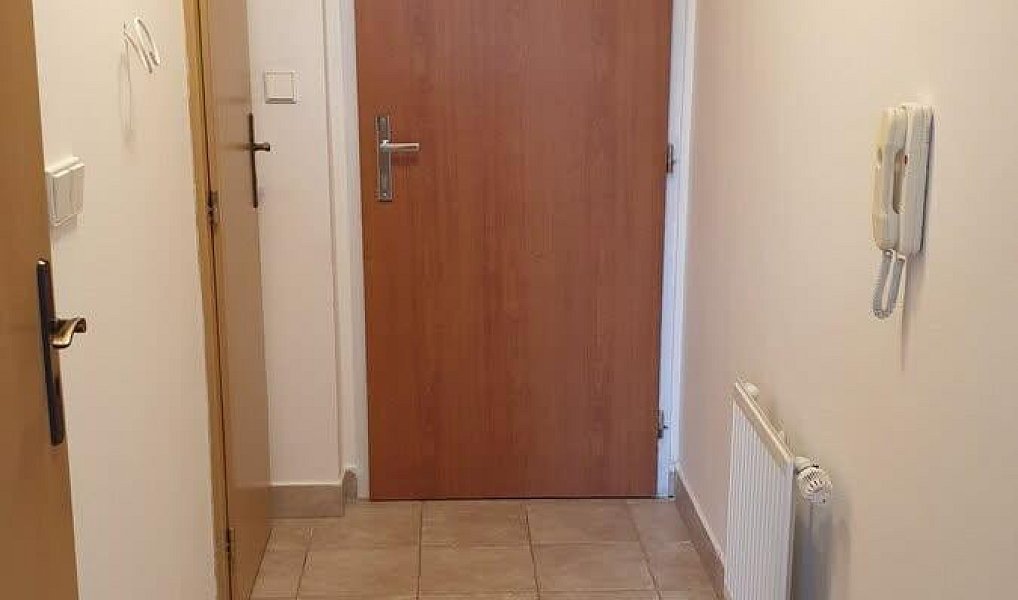 Pronájem bytu 1+kk 27 m², Praha – náhled fotky 8