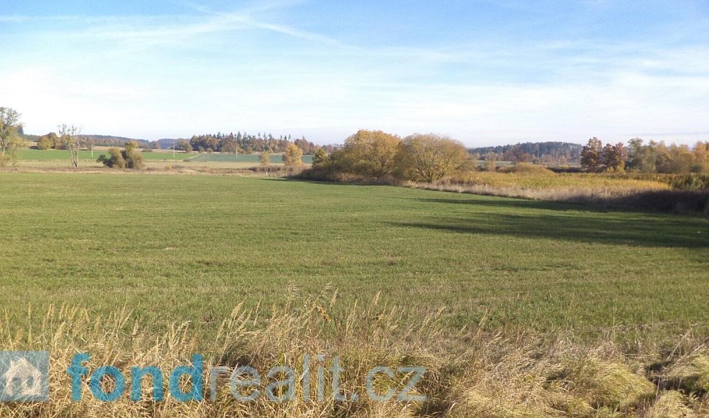 Prodej pozemku 1 225 m², Borovná – náhled fotky 6