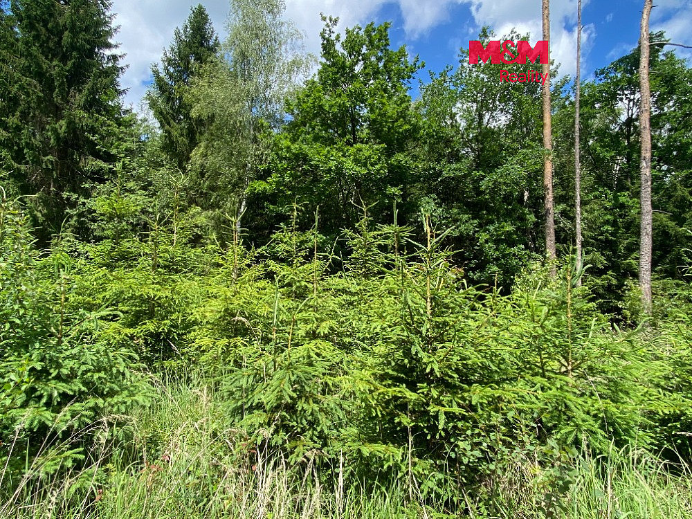 Prodej lesa 1 272 m²