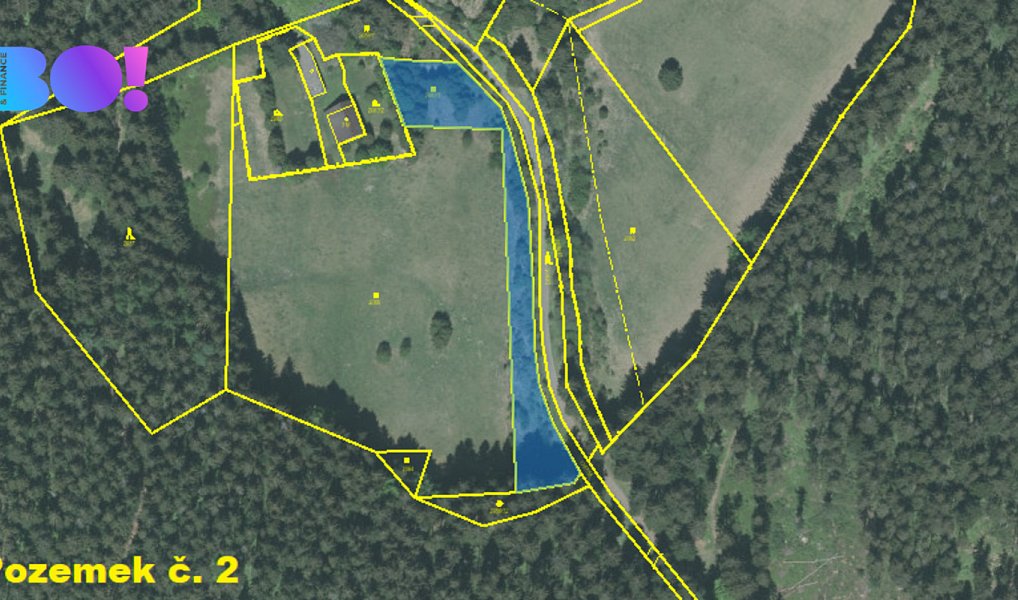 Prodej lesa 2 393 m², Staré Hamry – náhled fotky 5