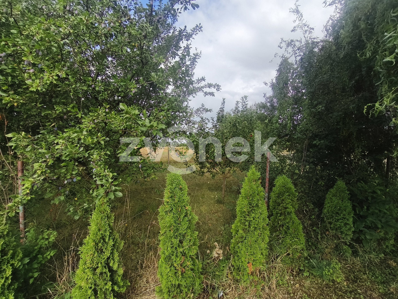Prodej komerčního pozemku 806 m² — photo 4