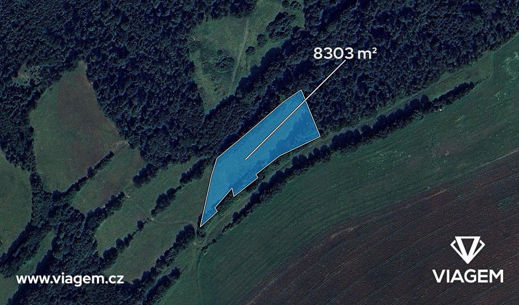 Prodej pole 4 151 m², Staré Těchanovice – náhled fotky 2