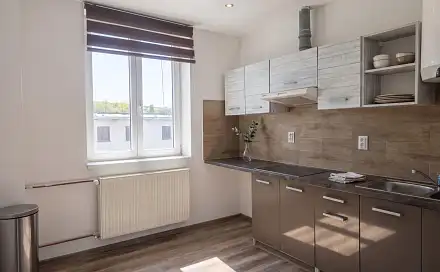Pronájem bytu 1+1 48 m², Duchcovská, Teplice