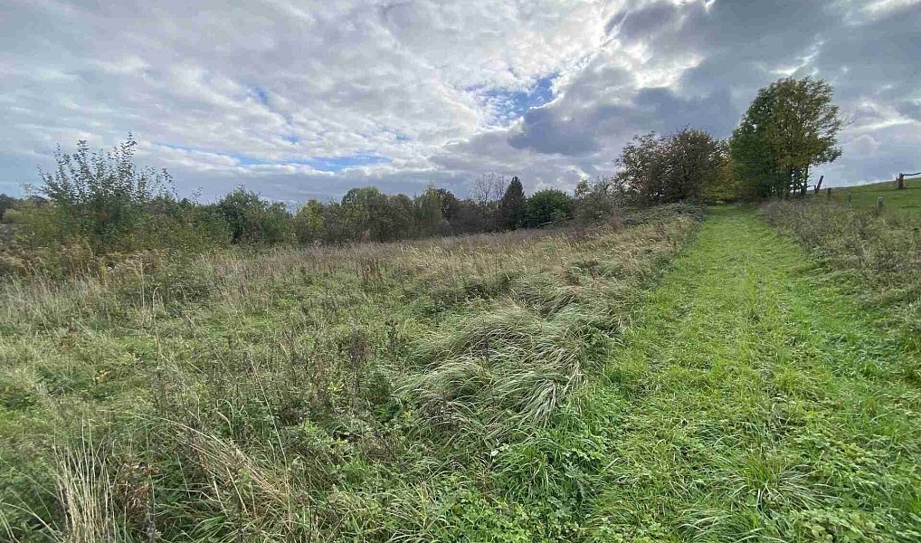 Prodej stavebního pozemku 1 651 m², Javorník – náhled fotky 4