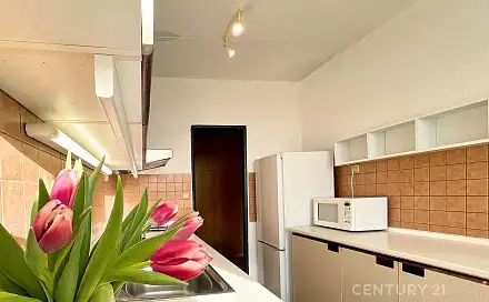 Pronájem bytu 1+1 41 m²