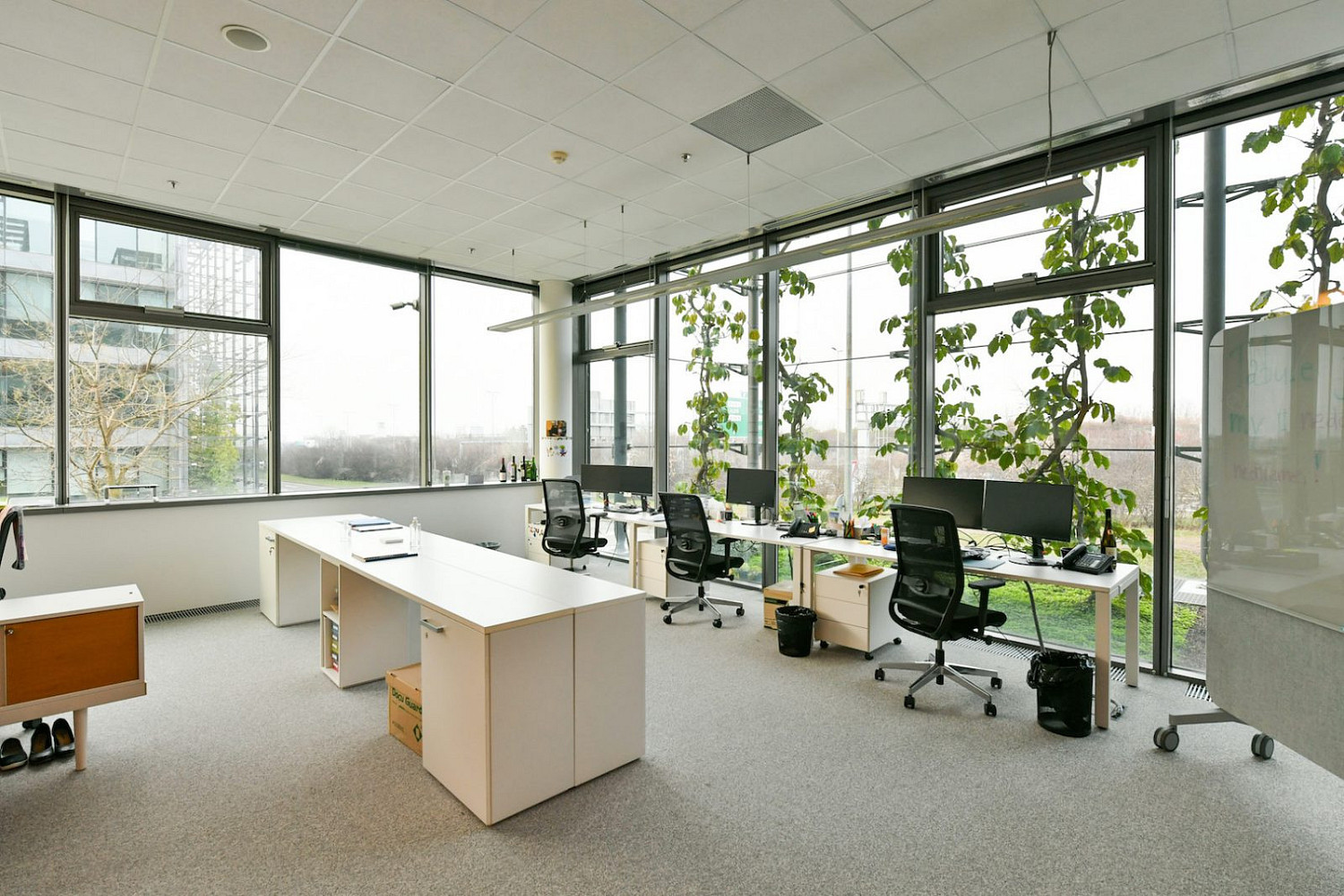 Pronájem kanceláře 937 m² – fotografie 4