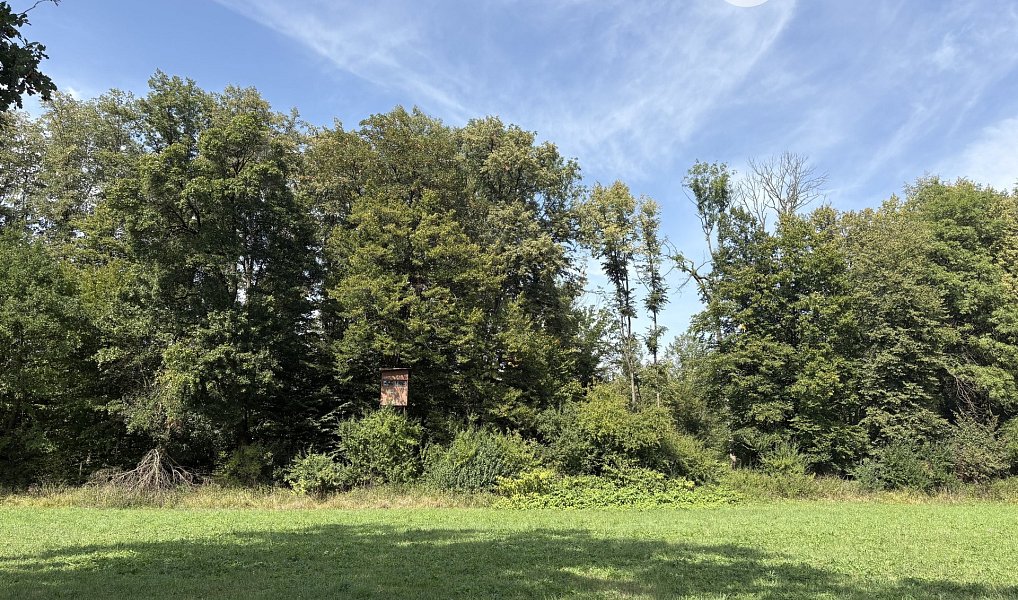 Prodej louky 2 145 m², Ostrava – náhled fotky 2