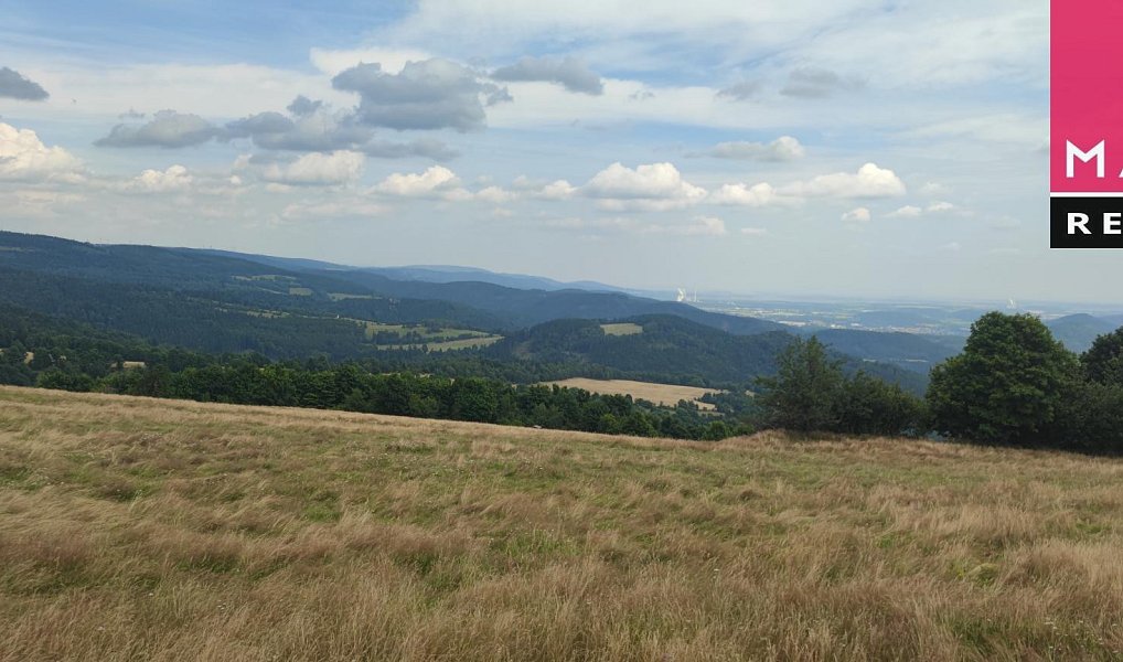 Prodej louky 69 991 m², Stráž nad Ohří – náhled fotky 6