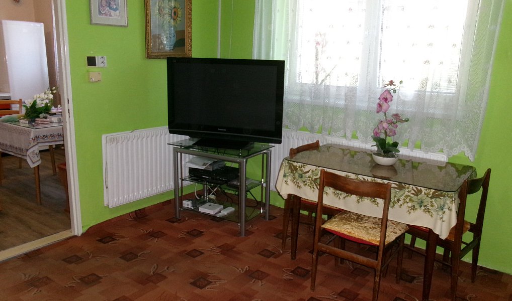 Prodej domu 105 m² s pozemkem 303 m², Staré Město – náhled fotky 13