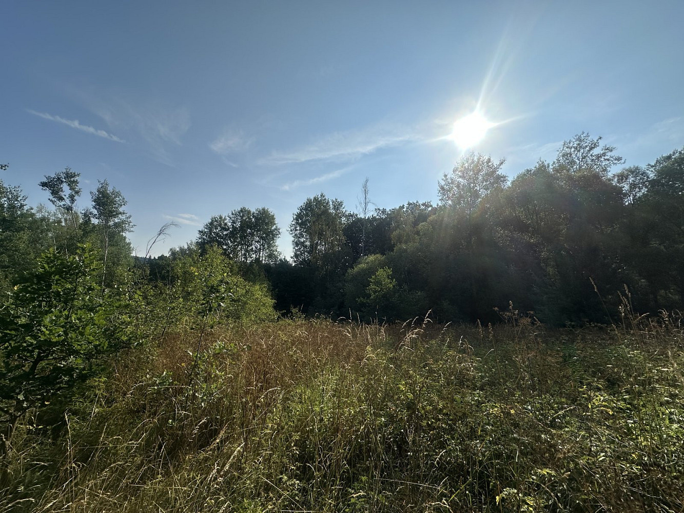 Prodej pozemku 3 546 m² – fotografie 2