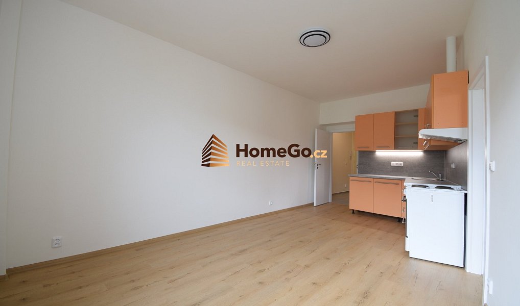 Pronájem bytu 2+kk 55 m², Praha – náhled fotky 4
