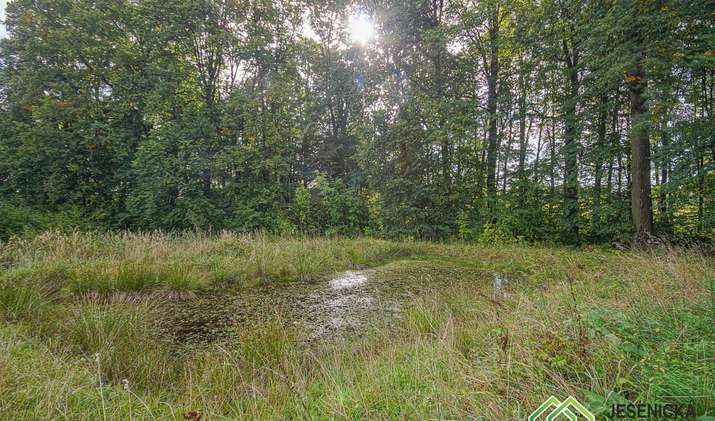 Prodej pole 16 809 m², Velké Kunětice – náhled fotky 11