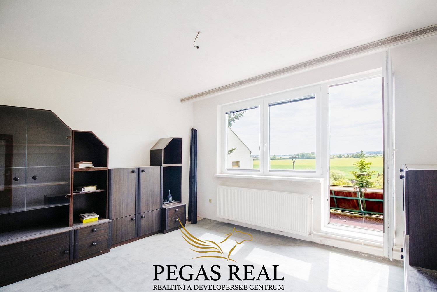 Prodej domu 300 m² s pozemkem 1 451 m² – fotografie 3