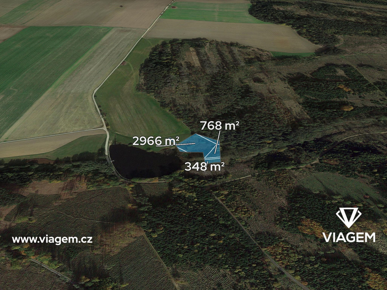 Prodej lesa 4 700 m²