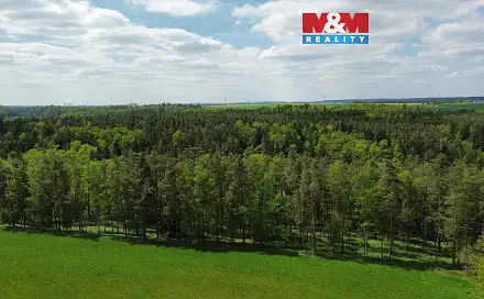 Prodej lesa 79 857 m², Černýšovice, okres Tábor