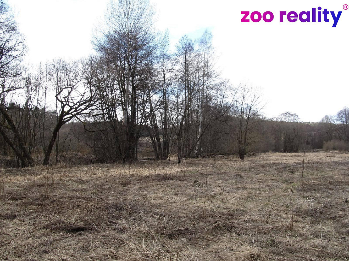 Prodej louky 7 754 m² — photo 2