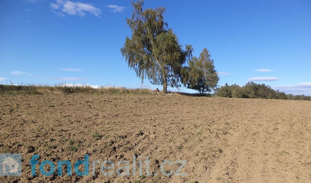 Prodej pozemku 4 992 m², Studená – náhled fotky 12