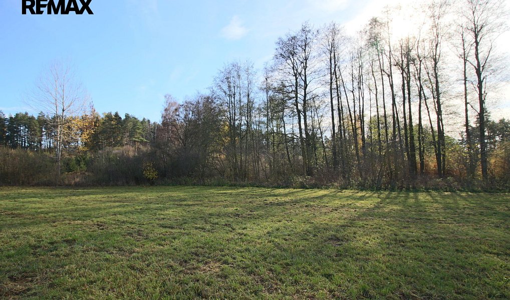 Prodej lesa 19 636 m², Břežany – náhled fotky 5