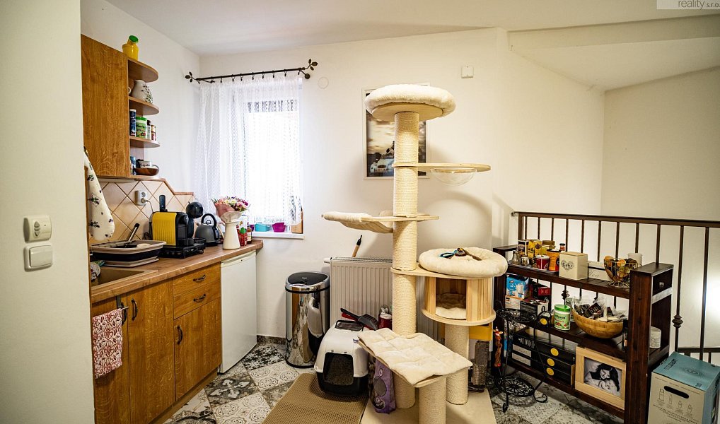 Prodej domu 547 m² s pozemkem 1 355 m², Most – náhled fotky 28