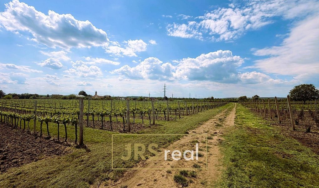 Prodej pole 3 474 m², Březí – náhled fotky 9