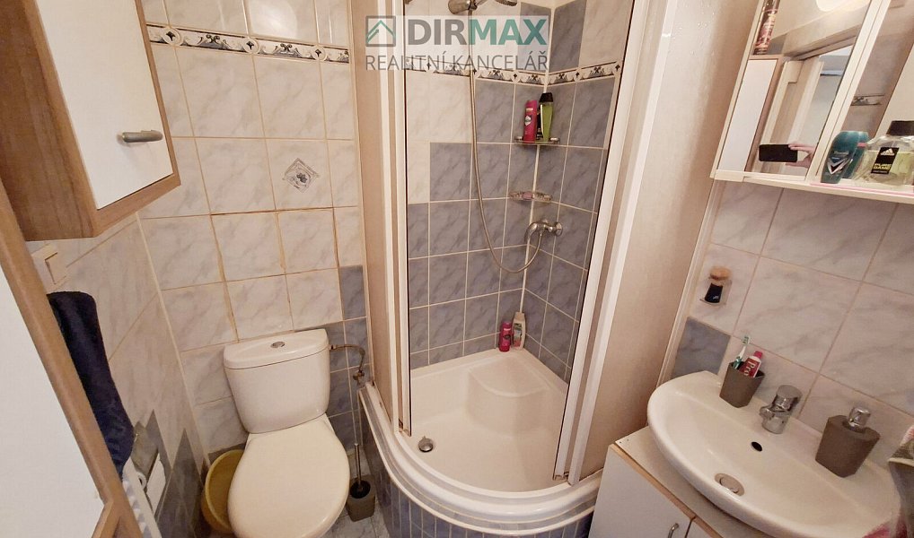 Prodej bytu 1+1 29 m², Plzeň – náhled fotky 10