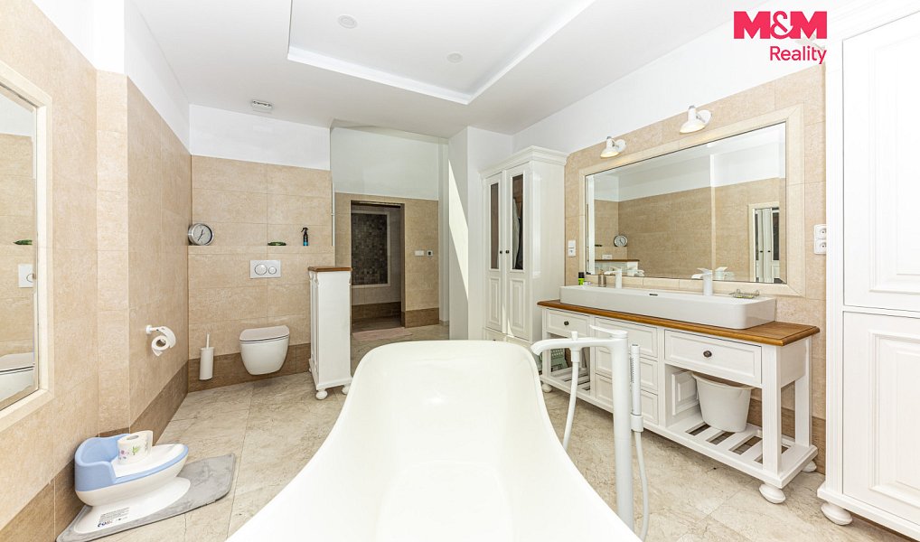 Prodej domu 996 m² s pozemkem 162 727 m², Kolín – náhled fotky 20