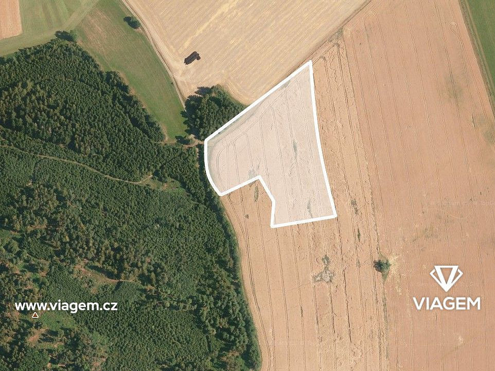 Prodej pole 2 031 m² – fotografie 2