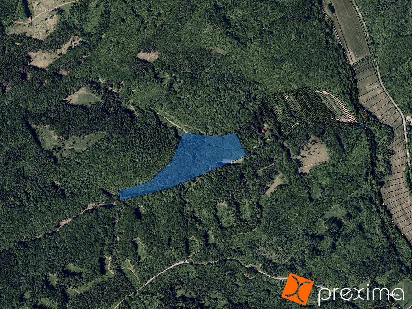 Prodej lesa 645 m²