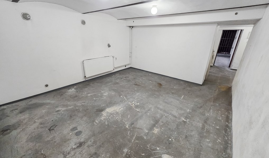 Prodej domu (jiného typu) 382 m² s pozemkem 259 m², Liberec – náhled fotky 10