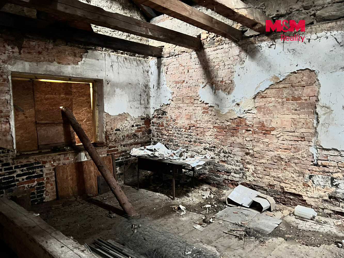 Fotka 10 z 14