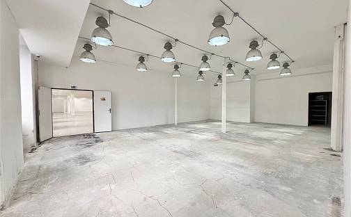 Pronájem restaurace 400 m², Václavská, Brno - Staré Brno