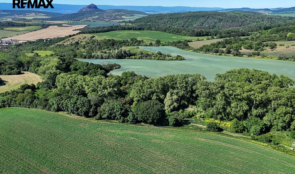 Prodej lesa 5 841 m², Skršín – náhled fotky 24