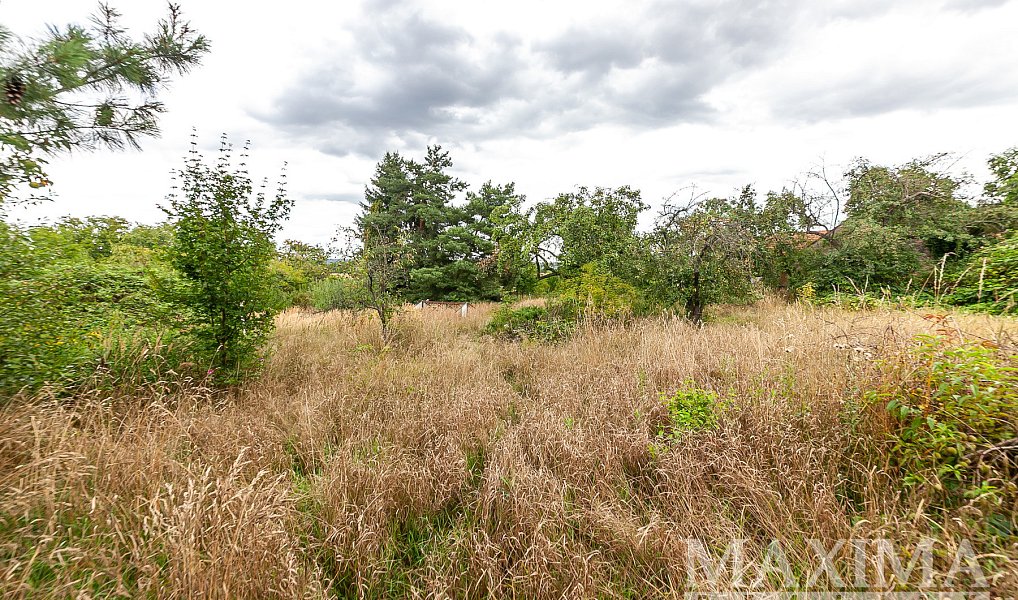 Prodej stavebního pozemku 3 823 m², Dolní Beřkovice – náhled fotky 8
