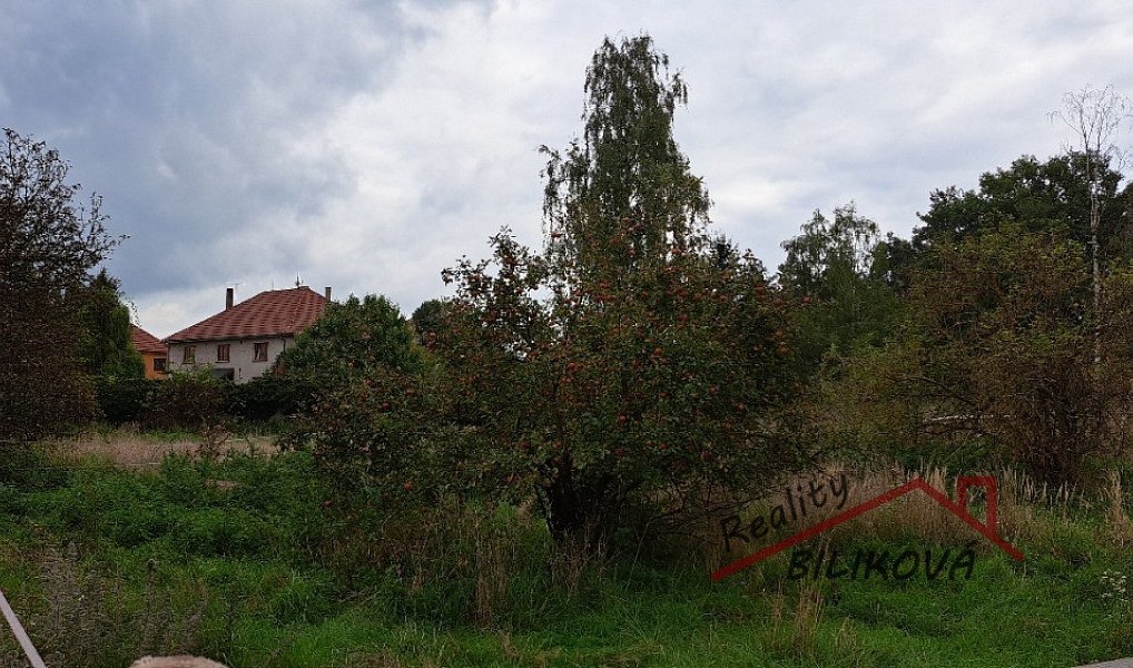 Prodej stavebního pozemku 1 001 m², Záryby – náhled fotky 4