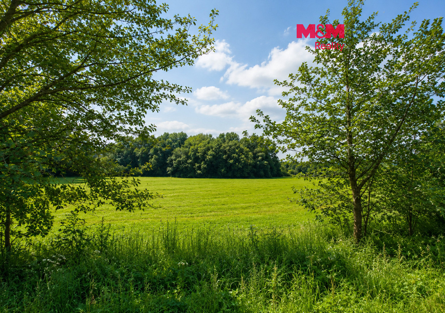 Prodej louky 4 863 m²
