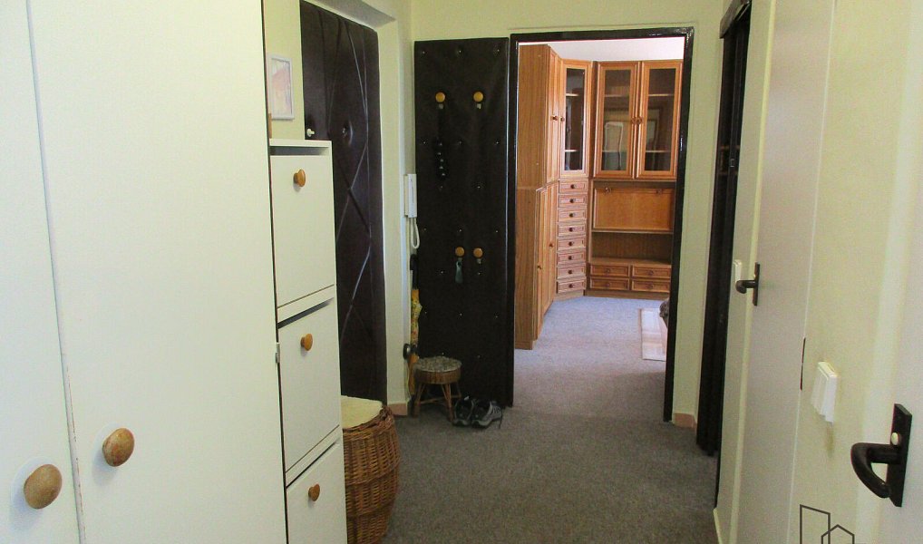 Pronájem bytu 2+1 55 m², Veselí nad Moravou – náhled fotky 15
