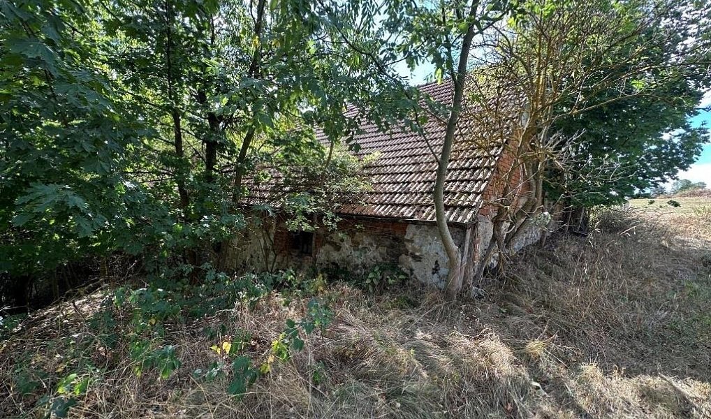 Prodej domu 371 m² s pozemkem 11 770 m², Křižanov – náhled fotky 11