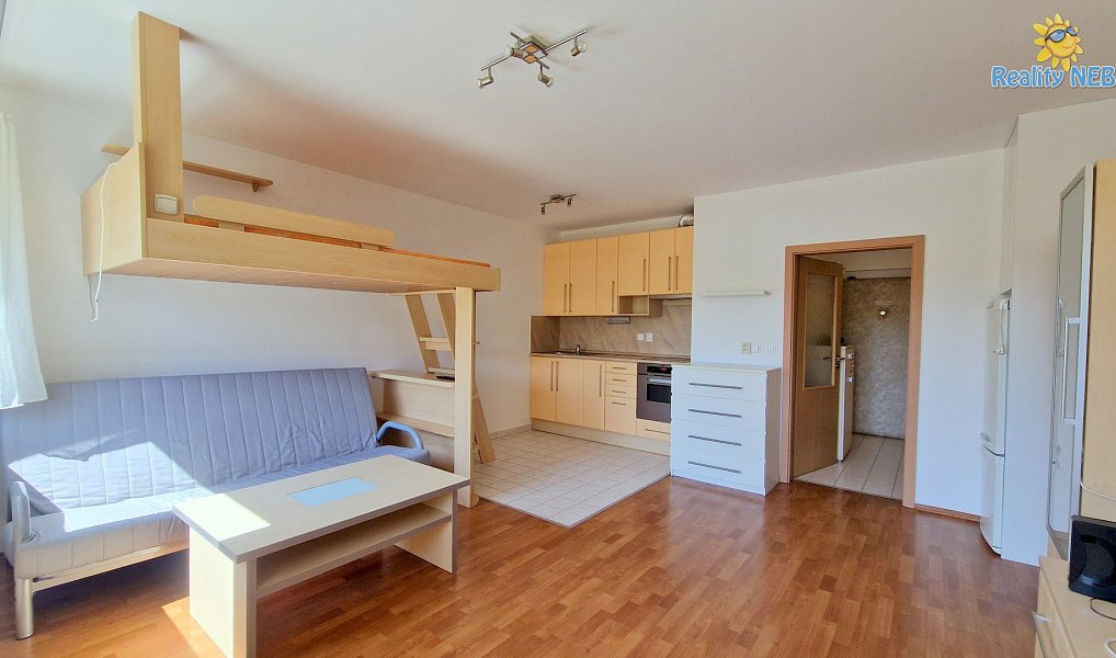 Pronájem bytu 1+kk 41 m², Praha – náhled fotky 3