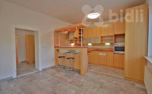 Pronájem bytu 3+kk 85 m², Přemyslovců, Ostrava - Mariánské Hory