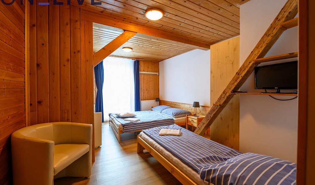 Prodej komerčního objektu (jiného typu) 500 m², Železná Ruda – náhled fotky 8