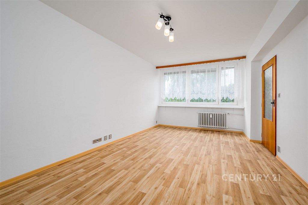Pronájem bytu 1+1 45 m² — photo 3