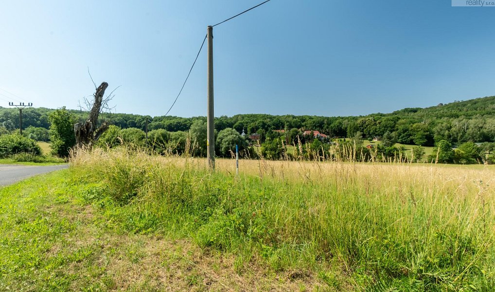 Prodej komerčního pozemku 23 391 m², Braňany – náhled fotky 8