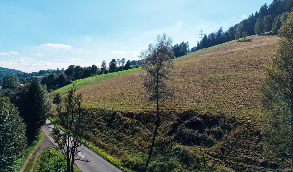 Prodej stavebního pozemku 753 m², Horní Maršov – náhled fotky 9