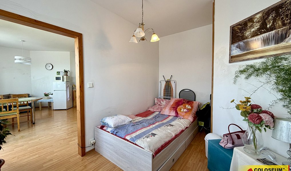 Ostatní