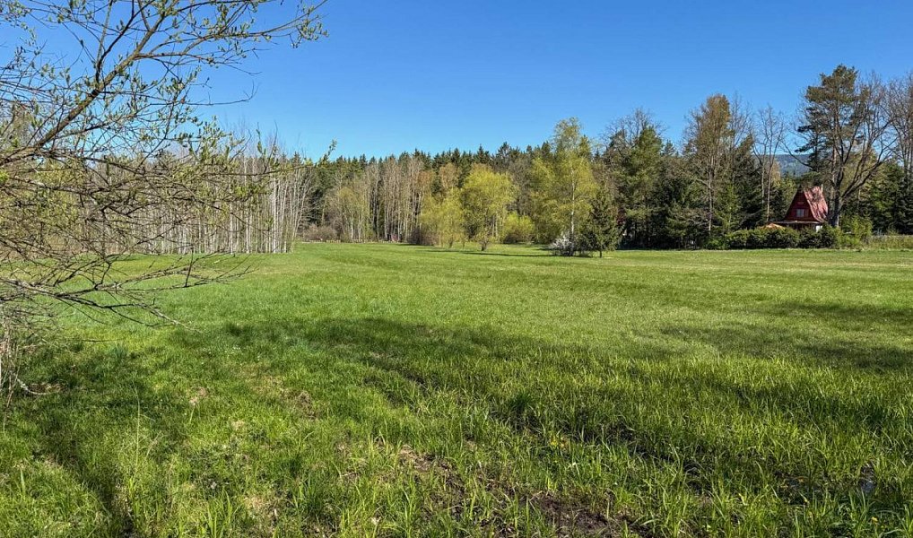 Prodej stavebního pozemku 8 053 m², Děpoltovice – náhled fotky 3