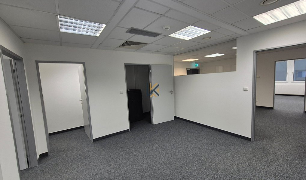 Pronájem kanceláře 196 m², Praha – náhled fotky 5