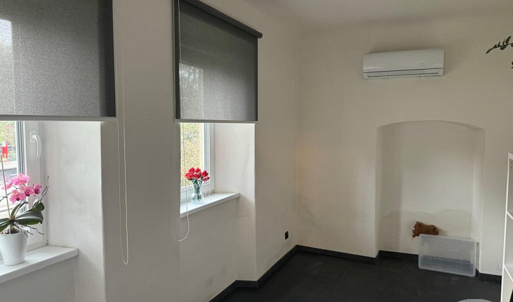 Pronájem bytu 4+1 145 m², Praha – náhled fotky 7