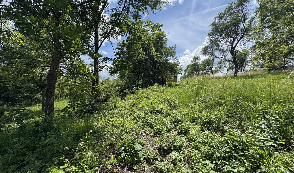 Prodej zahrady 731 m², Brno – náhled fotky 5