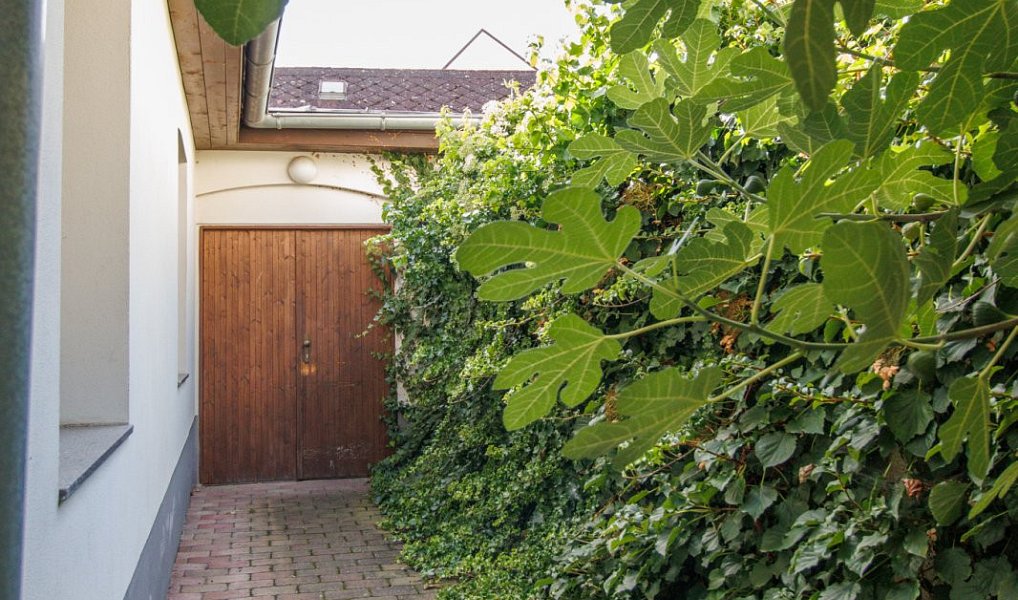 Pronájem bytu atypického 25 m², Sušice – náhled fotky 11