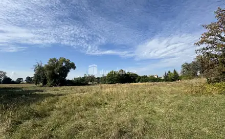 Prodej stavebního pozemku 4 621 m², Údlice, okres Chomutov